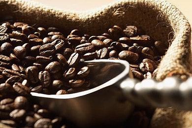 Rogue单人动作游戏《Reignbreaker》Steam页面上线 发售日待定