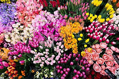 《浪人崛起》如何重现19世纪末的日本 比对游戏与现实中的江户时代三大城市